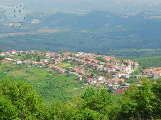Πωλείται Μονοκατοικία στο Ελατοχώρι Πιερίας